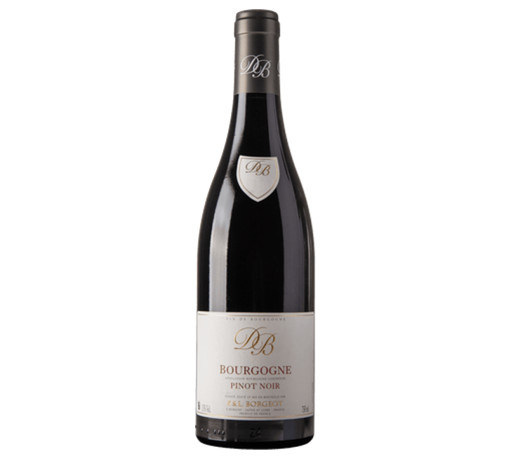2022, Bourgogne Pinot Noir, Domaine Borgeot
