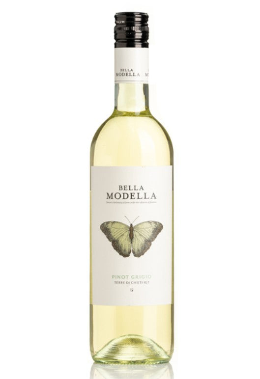 Pinot Grigio 2023, Abruzzo Italien