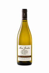 2024 hvid Beaujolais, Marc Jambon hos Sydhavnens Vinbar