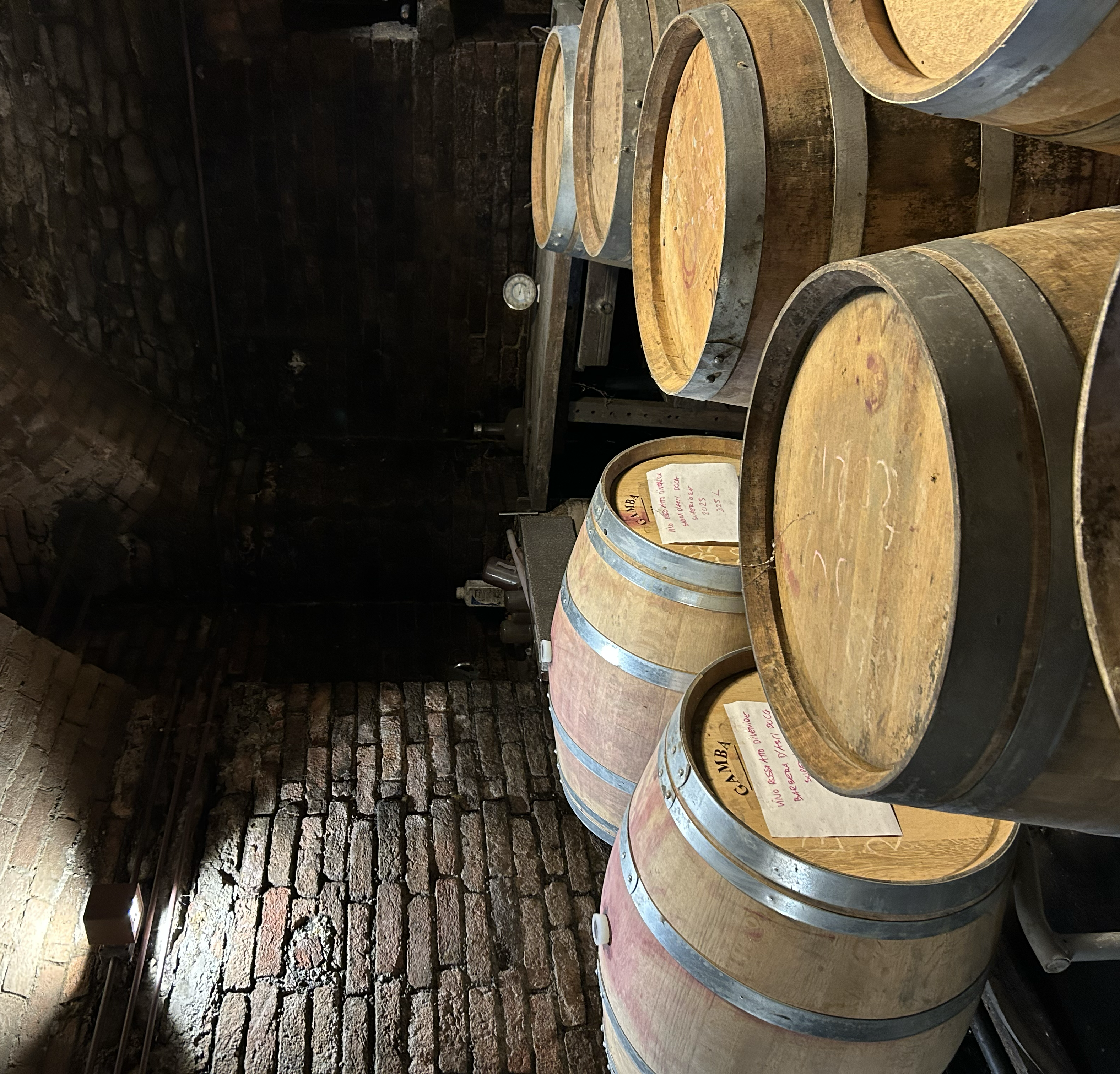 vinsmagning, italiensk