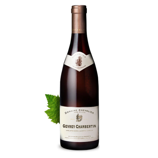 2019 Gevrey-Chambertin MAGNUM